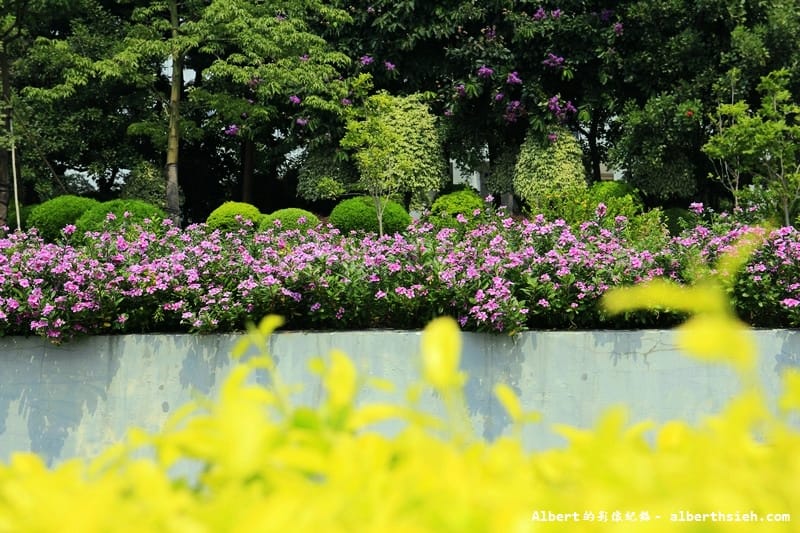 【高科技園區】廣東東莞.松山湖科技產業園區(科技與山水共一色) - 第12張圖 【高科技園區】廣東東莞.松山湖科技產業園區(科技與山水共一色)