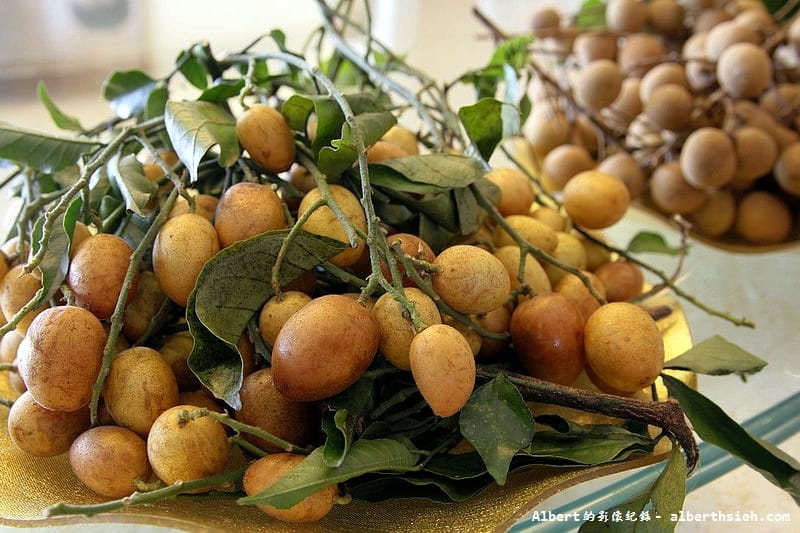 【東莞農家菜】廣東東莞．在水一方南部餐廳（豬肚絲炒飯好好吃）