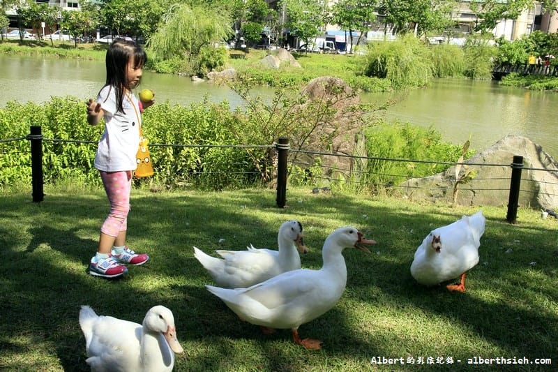 【台北旅遊景點】台北信義．松山文創園區(誠品生活松菸店)（欣賞半弧形立面建築之美）