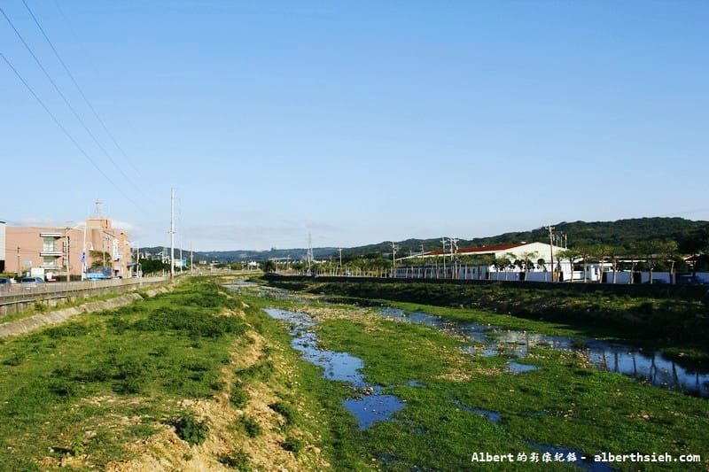 【無料花賞】桃園蘆竹．幸福花海季（被花包圍的感覺真幸福）