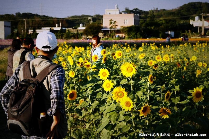【無料花賞】桃園蘆竹．幸福花海季（被花包圍的感覺真幸福）
