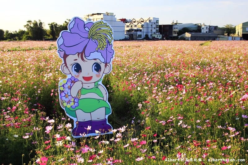 【無料花賞】桃園蘆竹．幸福花海季（被花包圍的感覺真幸福）
