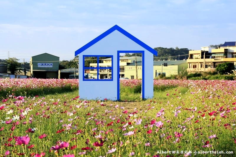 【無料花賞】桃園蘆竹．幸福花海季（被花包圍的感覺真幸福）