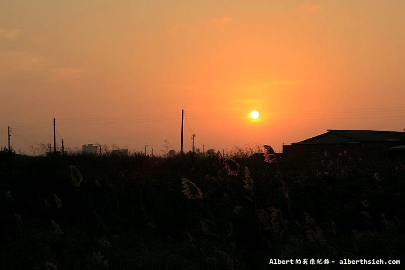 【濕地】雲林口湖．成龍濕地&成龍集會所（擁有美麗夕陽以及彩色魔幻的藝術漁村）