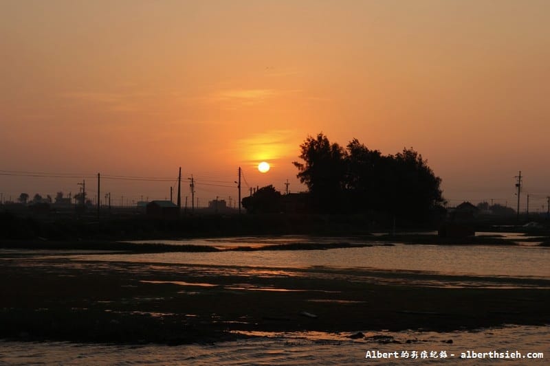 【濕地】雲林口湖．成龍濕地&成龍集會所（擁有美麗夕陽以及彩色魔幻的藝術漁村）