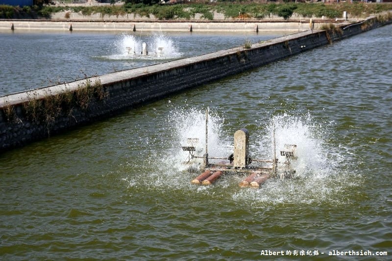 好蝦冏男社.雲林口湖(自然生態混養的無毒健康蝦) - 第4張圖 雲林口湖.好蝦冏男社