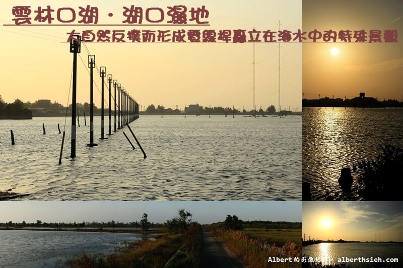 【濕地】雲林口湖．湖口(椬梧)濕地（大自然反撲而形成電線桿矗立在海水中的特殊景觀） @愛伯特