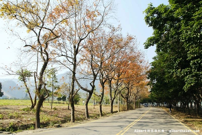 石門水庫槭林步道．桃園大溪賞梅（楓紅梅白交錯，有如詩情畫意的美麗）