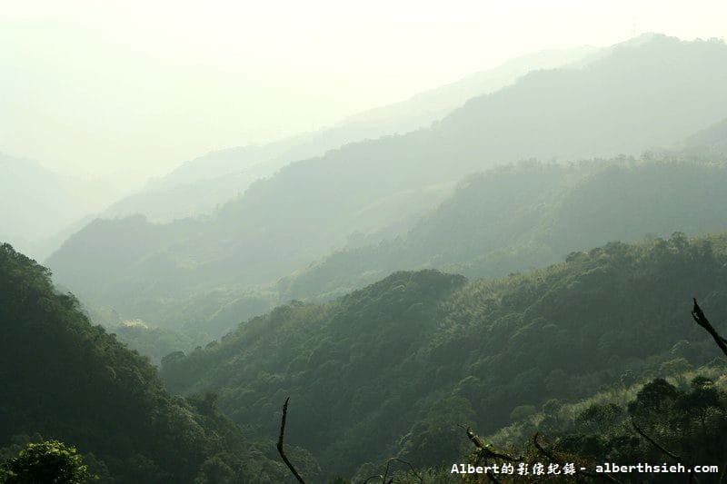 桃119線山櫻花．桃園復興成福道路（山景配山櫻讓眼睛放鬆一下）