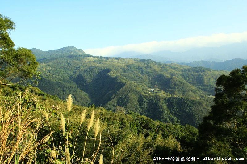 桃119線山櫻花．桃園復興成福道路（山景配山櫻讓眼睛放鬆一下）