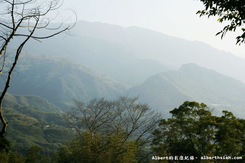桃119線山櫻花．桃園復興成福道路（山景配山櫻讓眼睛放鬆一下）