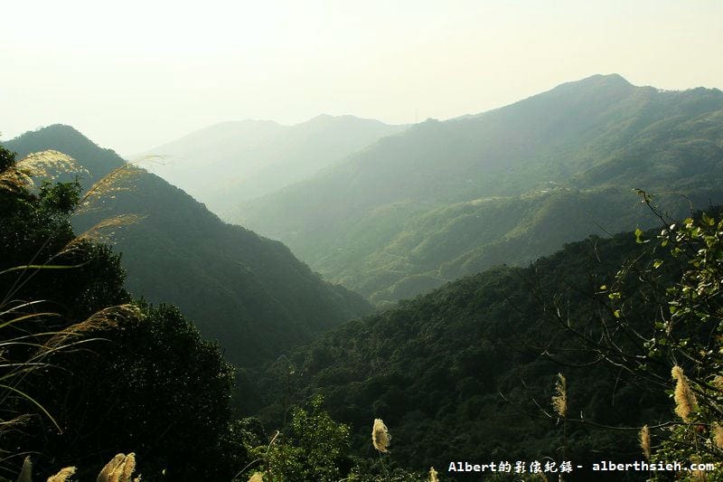 桃119線山櫻花．桃園復興成福道路（山景配山櫻讓眼睛放鬆一下）