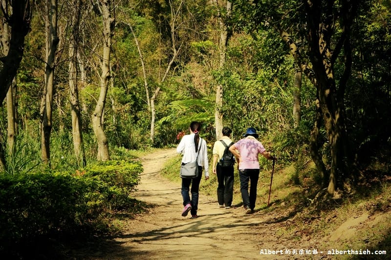 【櫻花】桃園龜山．三聖櫻花園（爬山賞櫻祈福一舉數得）