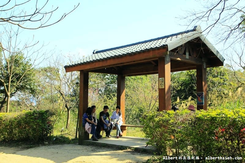 【櫻花】桃園龜山．三聖櫻花園（爬山賞櫻祈福一舉數得）