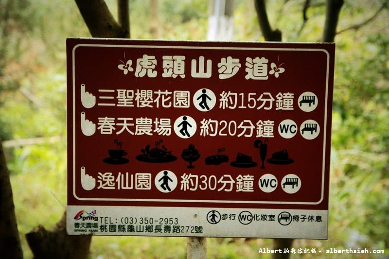 【櫻花】桃園龜山．三聖櫻花園（爬山賞櫻祈福一舉數得）