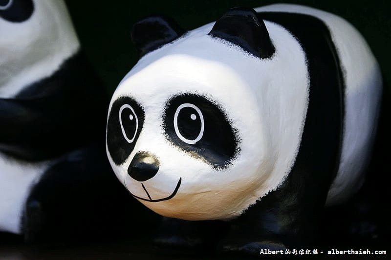 【紙貓熊展】台北中正.貓熊世界之旅(貓熊&黑熊&北極熊全員賣萌裝可愛) - 第32張圖 【紙貓熊展】台北中正.貓熊世界之旅(貓熊&黑熊&北極熊全員賣萌裝可愛)
