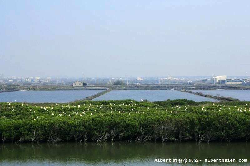 【彰化一日遊】彰化芳苑.王功漁港&芳苑燈塔&哈哈漁場(親自體驗下水抓魚摸文蛤超好玩) - 第11張圖 【彰化一日遊】彰化芳苑.王功漁港&芳苑燈塔&哈哈漁場(親自體驗下水抓魚摸文蛤超好玩)
