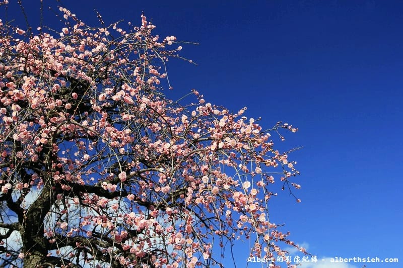 岡山城．日本岡山景點（來趟柯南的江戶時代推理之旅）