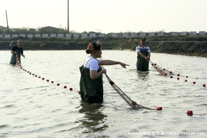 【漁民體驗】彰化芳苑.哈哈漁場(親自體驗下水抓魚摸文蛤超好玩) - 第11張圖 【漁民體驗】彰化芳苑.哈哈漁場(親自體驗下水抓魚摸文蛤超好玩)