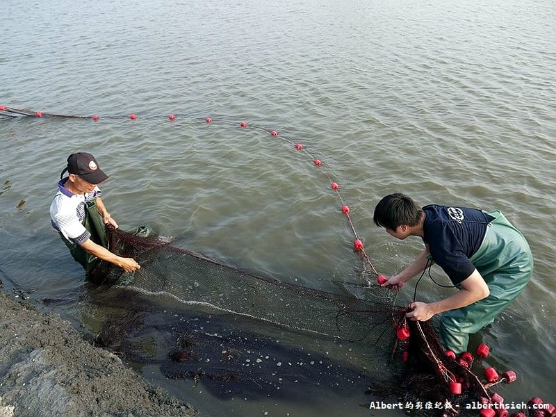 【漁民體驗】彰化芳苑.哈哈漁場(親自體驗下水抓魚摸文蛤超好玩) - 第13張圖 【漁民體驗】彰化芳苑.哈哈漁場(親自體驗下水抓魚摸文蛤超好玩)