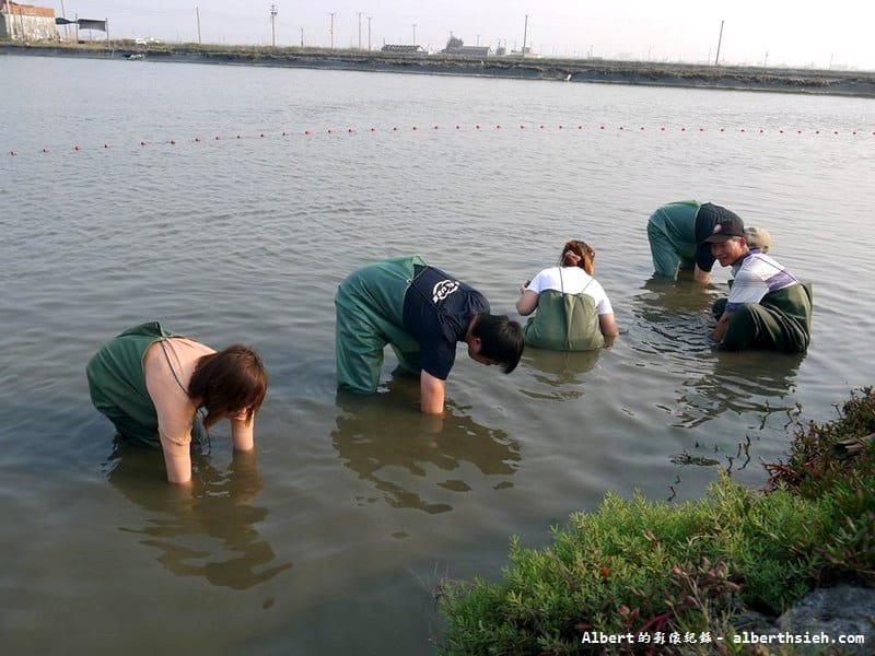 【漁民體驗】彰化芳苑.哈哈漁場(親自體驗下水抓魚摸文蛤超好玩) - 第19張圖 【漁民體驗】彰化芳苑.哈哈漁場(親自體驗下水抓魚摸文蛤超好玩)