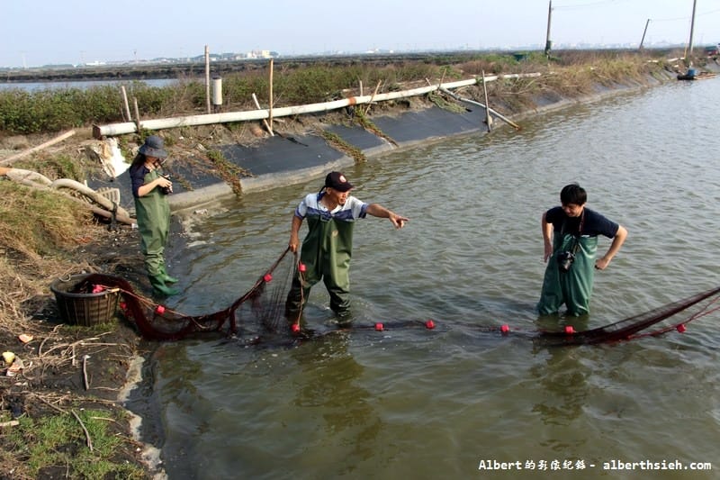 【漁民體驗】彰化芳苑.哈哈漁場(親自體驗下水抓魚摸文蛤超好玩) - 第21張圖 【漁民體驗】彰化芳苑.哈哈漁場(親自體驗下水抓魚摸文蛤超好玩)