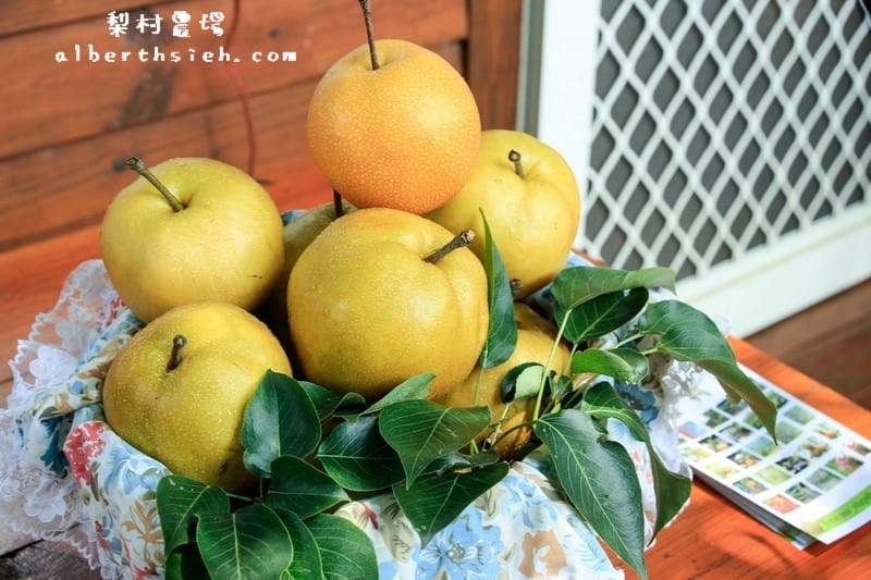 【農產體驗】新竹新埔．南平社區（梨村水梨，天一農場體驗）