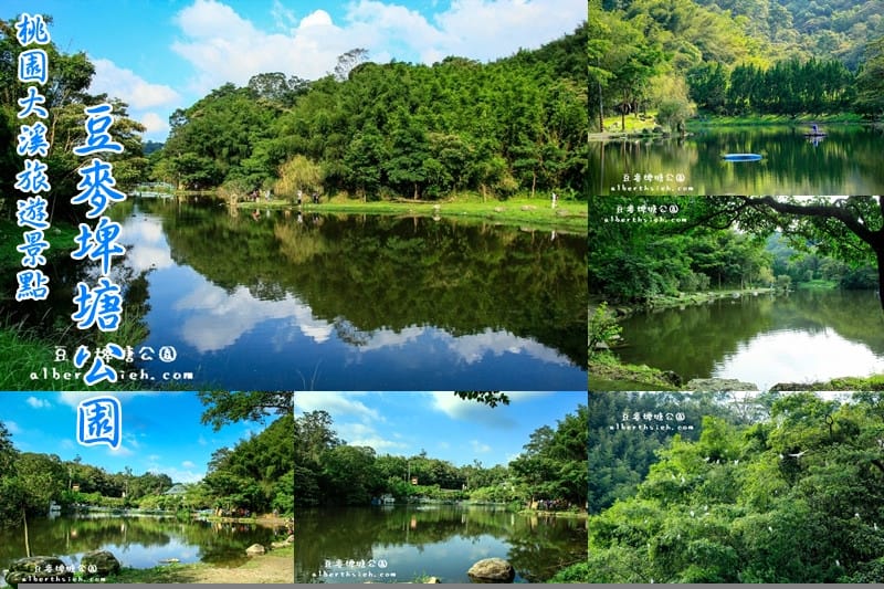 【農產體驗】桃園大溪．新峰社區（鮮脆甜美的綠竹筍）