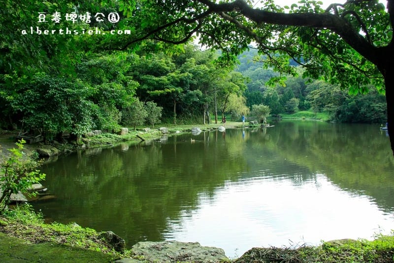 豆麥埤塘生態公園．桃園大溪景點（童話仙境般的秘境）