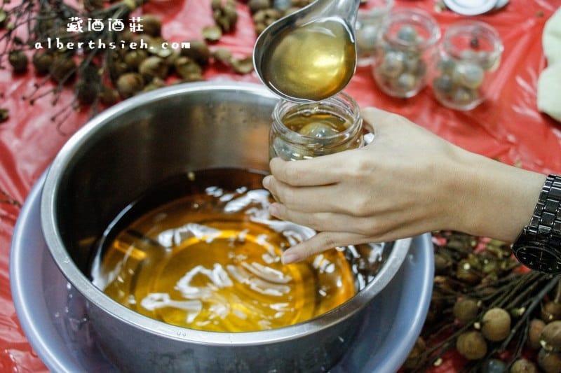 【宜蘭旅遊景點】頭城．藏酒酒莊（隱藏於山中的的美麗綠建築酒莊）