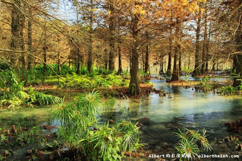 花蓮壽豐雲山水｜如同世外桃源的夢幻湖畔