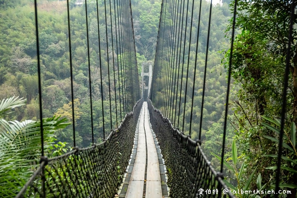 義興吊橋．桃園復興景點（賽德克巴萊彩虹橋，15層樓高200公尺長）