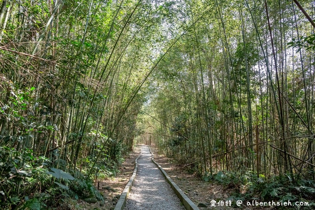 義興吊橋．桃園復興景點（賽德克巴萊彩虹橋，15層樓高200公尺長）