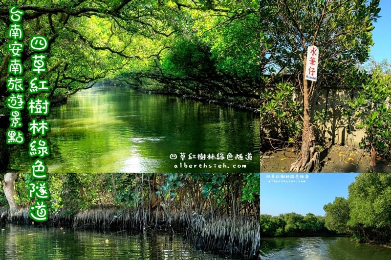 台南安南景點.四草紅樹林綠色隧道(海上森林台灣亞馬遜河) - 第1張圖 台南安南景點.四草紅樹林綠色隧道(海上森林台灣亞馬遜河)
