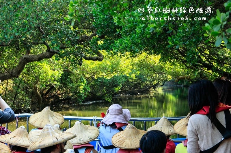 台南安南景點.四草紅樹林綠色隧道(海上森林台灣亞馬遜河) - 第16張圖 台南安南景點.四草紅樹林綠色隧道(海上森林台灣亞馬遜河)