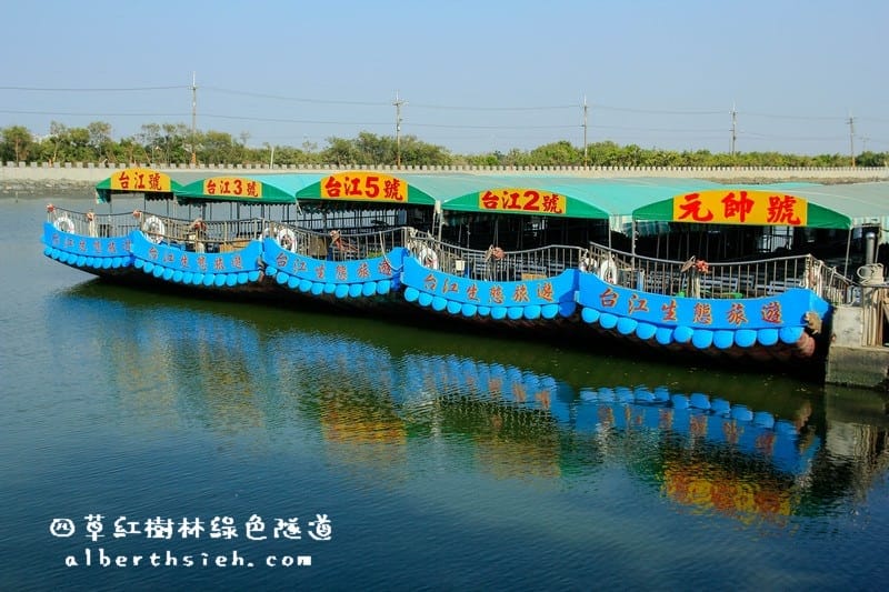 台南安南景點.四草紅樹林綠色隧道(海上森林台灣亞馬遜河) - 第6張圖 台南安南景點.四草紅樹林綠色隧道(海上森林台灣亞馬遜河)