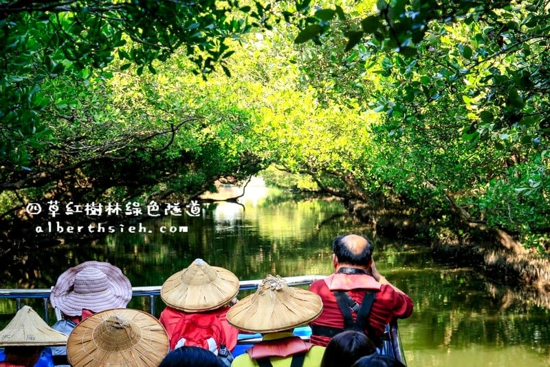 台南安南景點.四草紅樹林綠色隧道(海上森林台灣亞馬遜河) - 第12張圖 台南安南景點.四草紅樹林綠色隧道(海上森林台灣亞馬遜河)