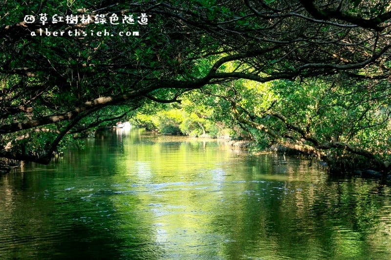 台南安南景點.四草紅樹林綠色隧道(海上森林台灣亞馬遜河) - 第17張圖 台南安南景點.四草紅樹林綠色隧道(海上森林台灣亞馬遜河)