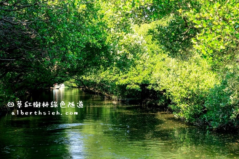 台南安南景點.四草紅樹林綠色隧道(海上森林台灣亞馬遜河) - 第15張圖 台南安南景點.四草紅樹林綠色隧道(海上森林台灣亞馬遜河)