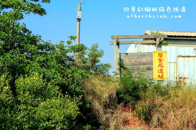 台南安南景點.四草紅樹林綠色隧道(海上森林台灣亞馬遜河) - 第14張圖 台南安南景點.四草紅樹林綠色隧道(海上森林台灣亞馬遜河)
