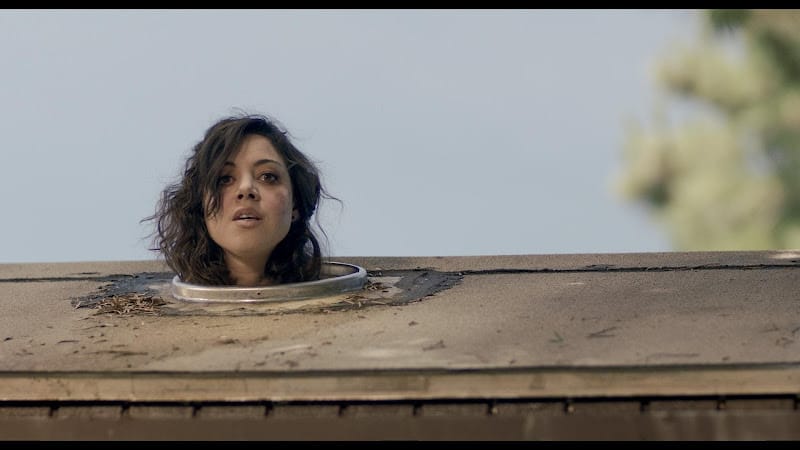 【電影影評】殭屍哪有這麼正(Life After Beth)（真的沒有很正！）