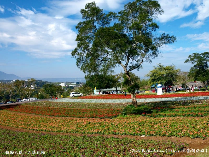 桃園大溪．大溪花海（媲美日本北海道美景）