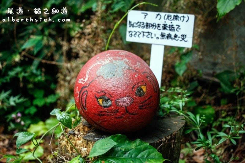 貓之細道．廣島尾道景點（因北川景子拍攝相機廣告大紅）