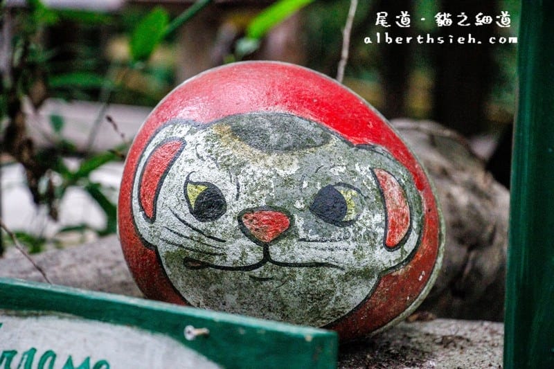 貓之細道．廣島尾道景點（因北川景子拍攝相機廣告大紅）