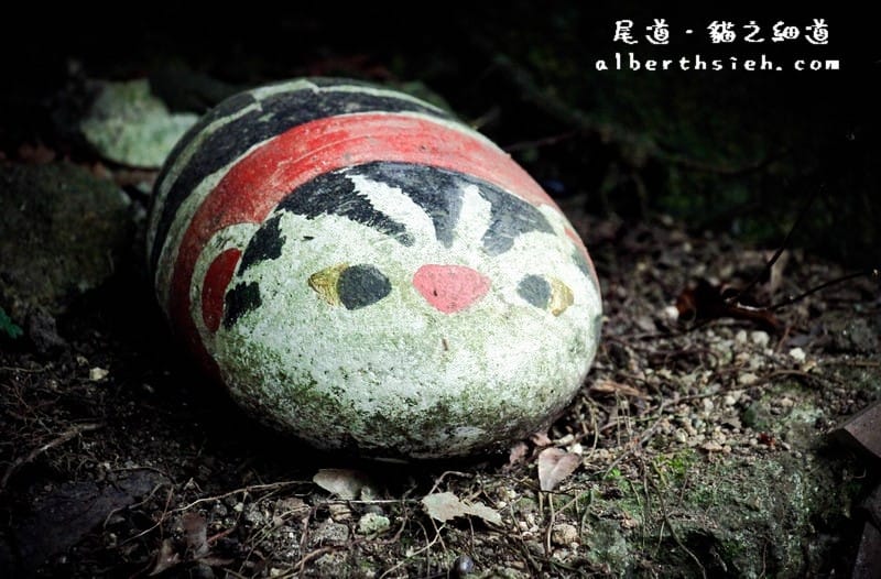 貓之細道．廣島尾道景點（因北川景子拍攝相機廣告大紅）