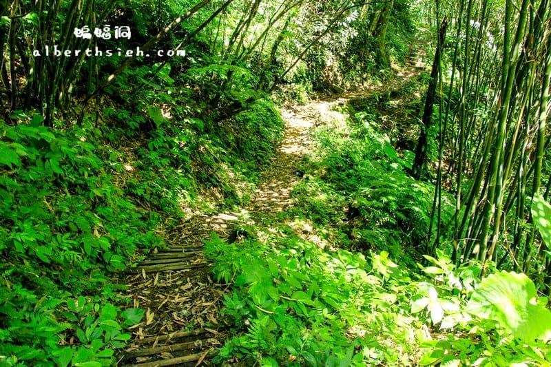 三民蝙蝠洞．桃園復興景點（清幽僻靜避暑戲水好去處）