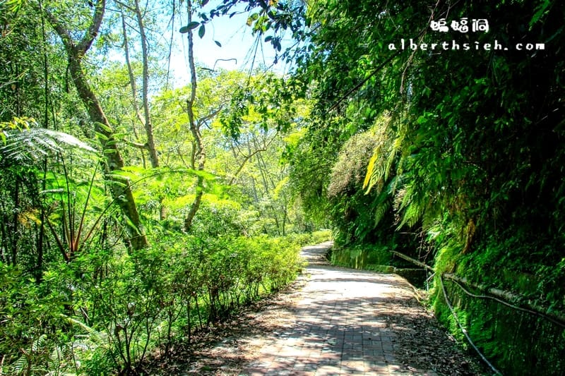 三民蝙蝠洞．桃園復興景點（清幽僻靜避暑戲水好去處）