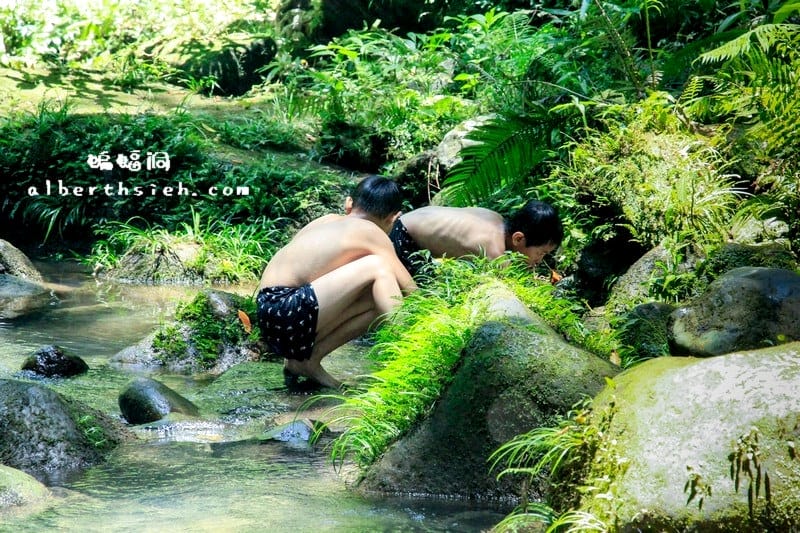 三民蝙蝠洞．桃園復興景點（清幽僻靜避暑戲水好去處）