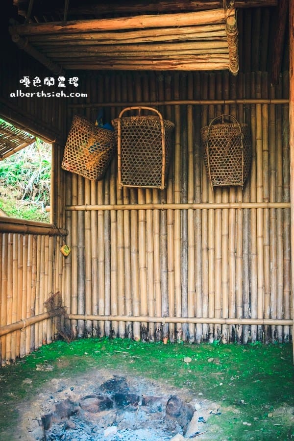 【嘎色鬧部落】桃園復興．箭竹林步道（生態植物以及狩獵體驗園區）