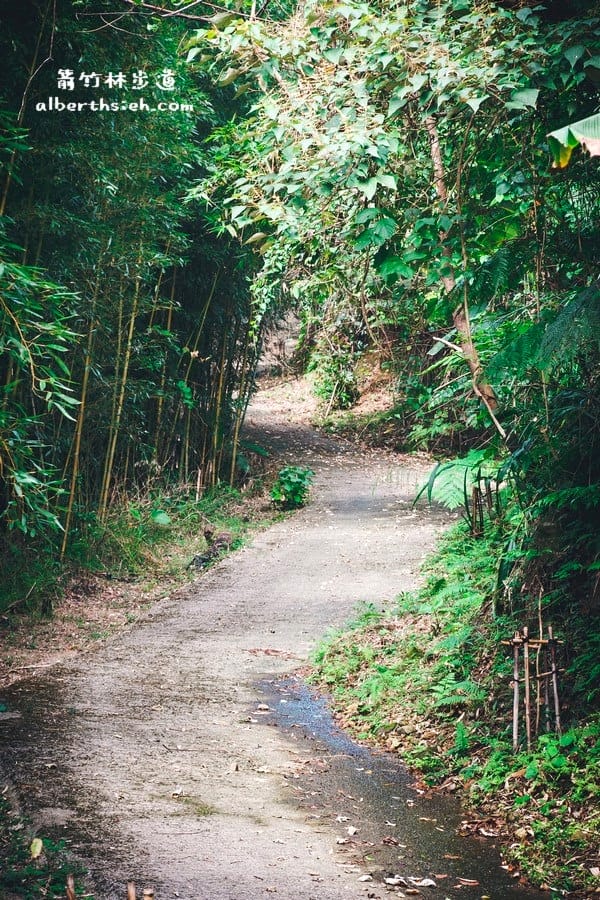 【嘎色鬧部落】桃園復興．箭竹林步道（生態植物以及狩獵體驗園區）